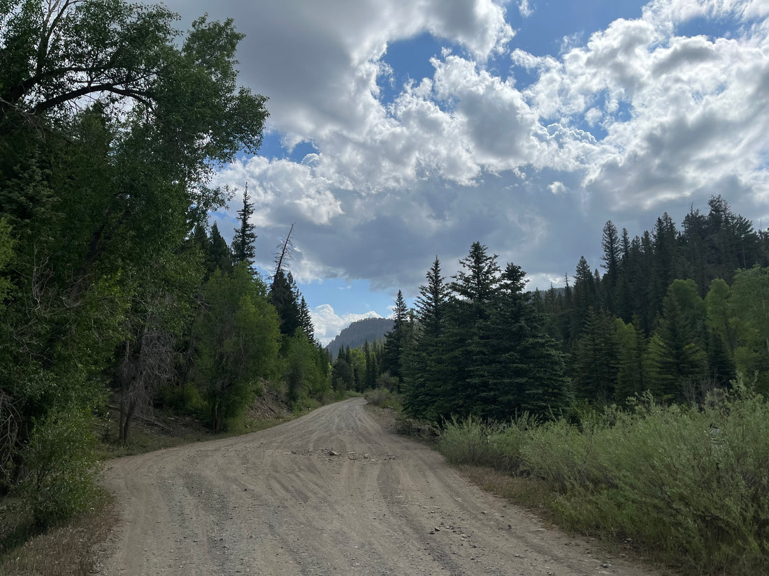 East Fork of the San Juan River (Free Camping!)