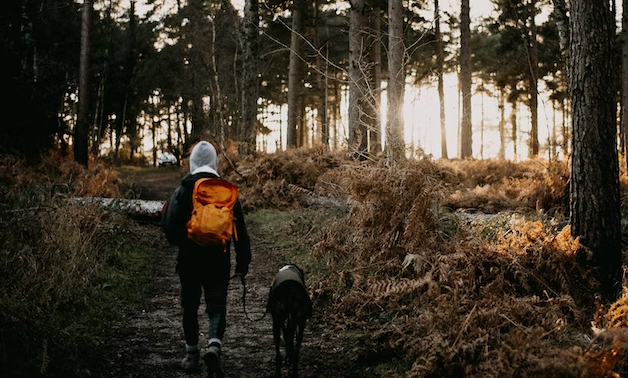 Best place to outlet hike with your dog